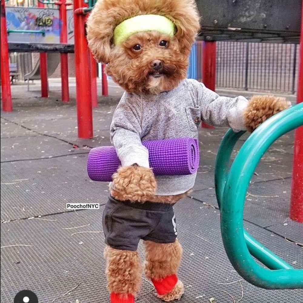 Meet your Posher, Deanne